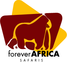 Forever Africa Safari logo